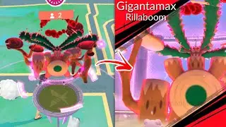 GIGANTAMAX RILLABOOM raid (Max Battle) in Pokemon GO.