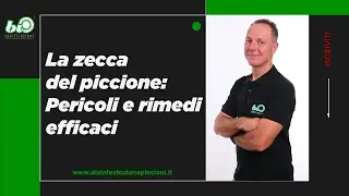 La zecca del piccione: Pericoli e rimedi efficaci