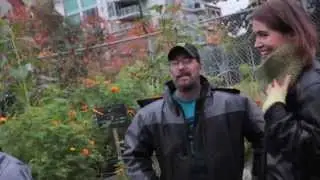 Pollinator Corridor   Hives for Humanity HD
