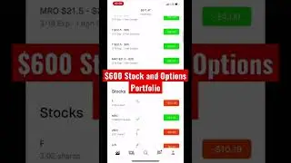 $600 Stock Options Portfolio 2022 Robinhood