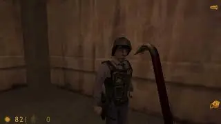 Wriggler Plays Half life Part 4 [HL]