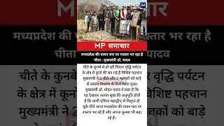 #madhyapradesh #cmmohanyadav #cheetah #mpnews #samaachar24 #latestnews