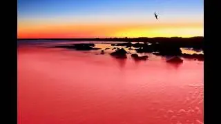 Peter Scherer  & Don Li - That Land