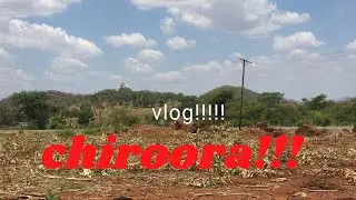 Kupemberera muroora| Welcoming the bride| Zimbabwean Youtuber