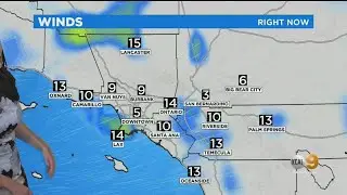 Amber Lee's Weather Forecast (July 10)