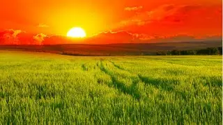 Красивая музыка для отдыха / Beautiful music for relaxation (2021)