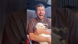 30 Seconds of Josh O'Connor Melting Over a Puppy