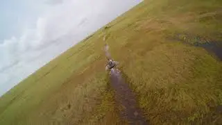 Best Everglades Airboat Tour