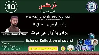 Echo or reflection of sound | Physics Class 10 | Chapter 11 | Lecture 8 | SOS