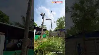 Sabarinathan  tree  cutter  service  pattukkottai 8072635013