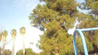 balloon chaser