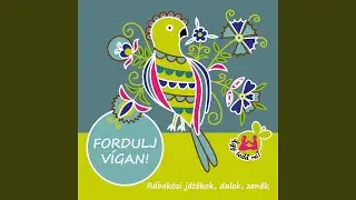 Rózsa vagyok a babám ablakában