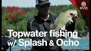 Summer mayfly season fishing with KVD - bass fishing tips