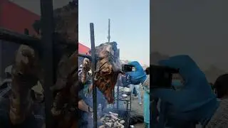 mini food vlog trying badel on Maghe sankranti at tudikhel