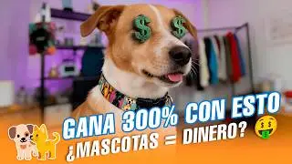 Sublimación en accesorios para mascotas: guía completa con estampadora plana