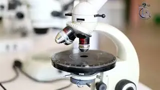 زيارات افتراضية - التعريف بجامعة باتنة 2