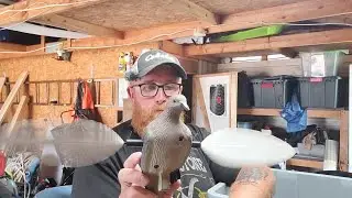 Dove Hunting Prep!