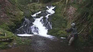 DVD: Trout Streams of the Porkies