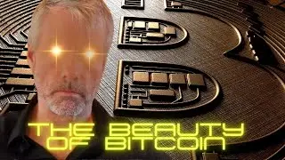 🌟THE BEAUTY OF BITCOIN | MICHAEL SAYLOR
