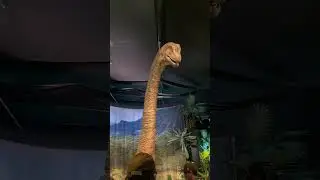 Join Us at the Jurassic World Exhibit in San Diego! #jurassicworld