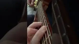 Pepper Tradewinds Capo Cam
