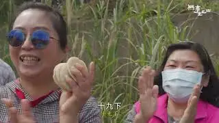 新竹：湖口,新豐、桃園/楊梅,平鎮 4【無事坐巴士】#158