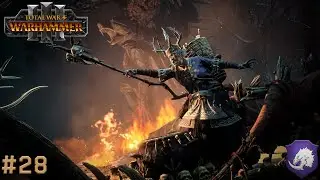 Total War: Warhammer 3 - Daughters of the Forest #28 Gamble like moves...