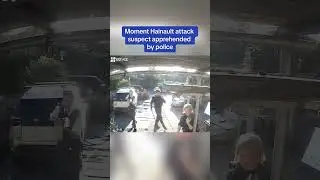 This is the moment Hainault attack suspect was apprehended by police