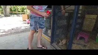 DK Farms and Gardens in Largo Florida!