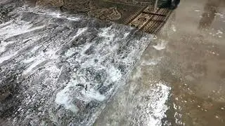 Lavaggio ad acqua tappeto antico