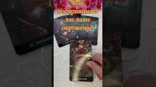 Как воспринимает вас ваше окружение
