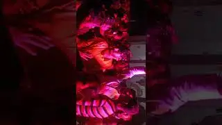 Bhai ki shaadi mein ho gaya Hungama 😮😮😮😮😮