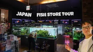 ОГРОМНЫЙ РЫБНЫЙ МАГАЗИН в ЯПОНИИ!! Тур Okinawa Bianco ①