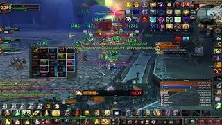 Paladin Healer PVE ( WoW 3.3.5a. Wow aura) Putricide ICC25N
