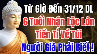 Từ Nay Đến 31 Tháng 12, 6 Con Giáp Chốt LỘC Cuối Năm – Giữ Được Thì 2026 Giàu Cực Nhanh
