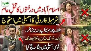 Sharmila Farooqi Powerful Speech on Islamabad Trees Cutting in National Assembly  Talal Chaudhry