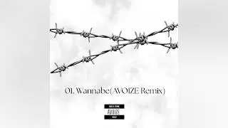 Wannabe(AVOIZE REMIX)