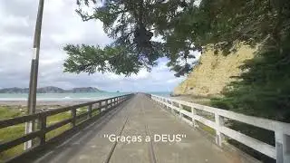 Criai em mim um coração que seja puro!