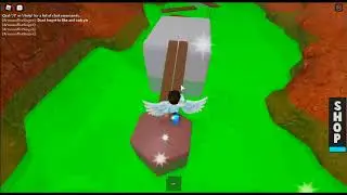 Roblox(Quarantine Story)