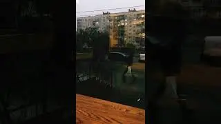 Кафе. Непогода. Комфорт. Видеосъёмка. #эстетика #уют #комфорт #латте #вид