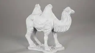 3D Photoscan model scanned by Altair studio - How to scanned camel?