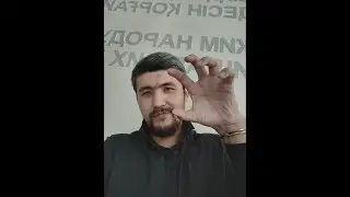 Доказательства невиновности Армана в организации беспорядков