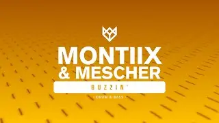 MONTIIX & MESCHER   BUZZIN'
