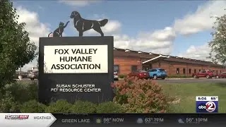 Fox Valley cat hoarding situation