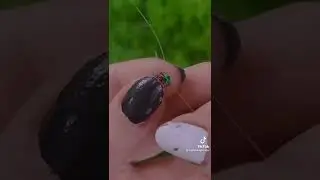 туторіал на ягоду із бісеру🍓