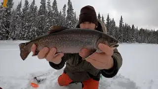 January Brook Trout in the Boundary Waters Canoe Area Wilderness