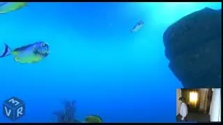 [HTC VIVE] Играем в theblu!