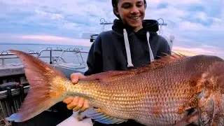 Biggest fish of the season!  Snapper 2020