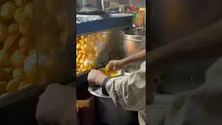 Best Pani Puri Ever? Street Food Review 🔥 #youtubeshorts