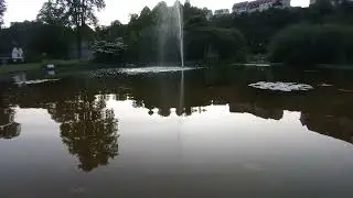 Fountain and Mirror Surface of Slowly Moving Water of the Pond